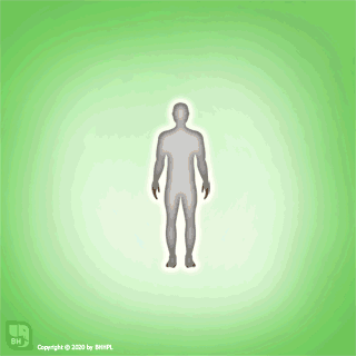role of nutraceuticals in cancer prevention 2 Cancer prevention