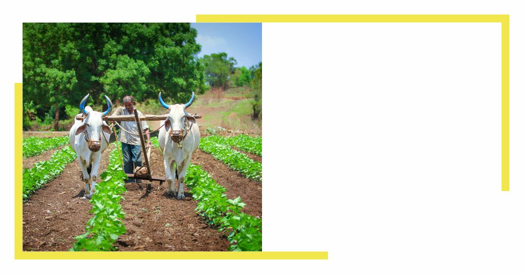 Bhookha haathi farmers connect website homepage banner